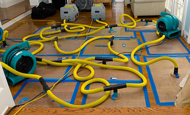Professional Crawl Space Water Removal technician working in East Alton, IL